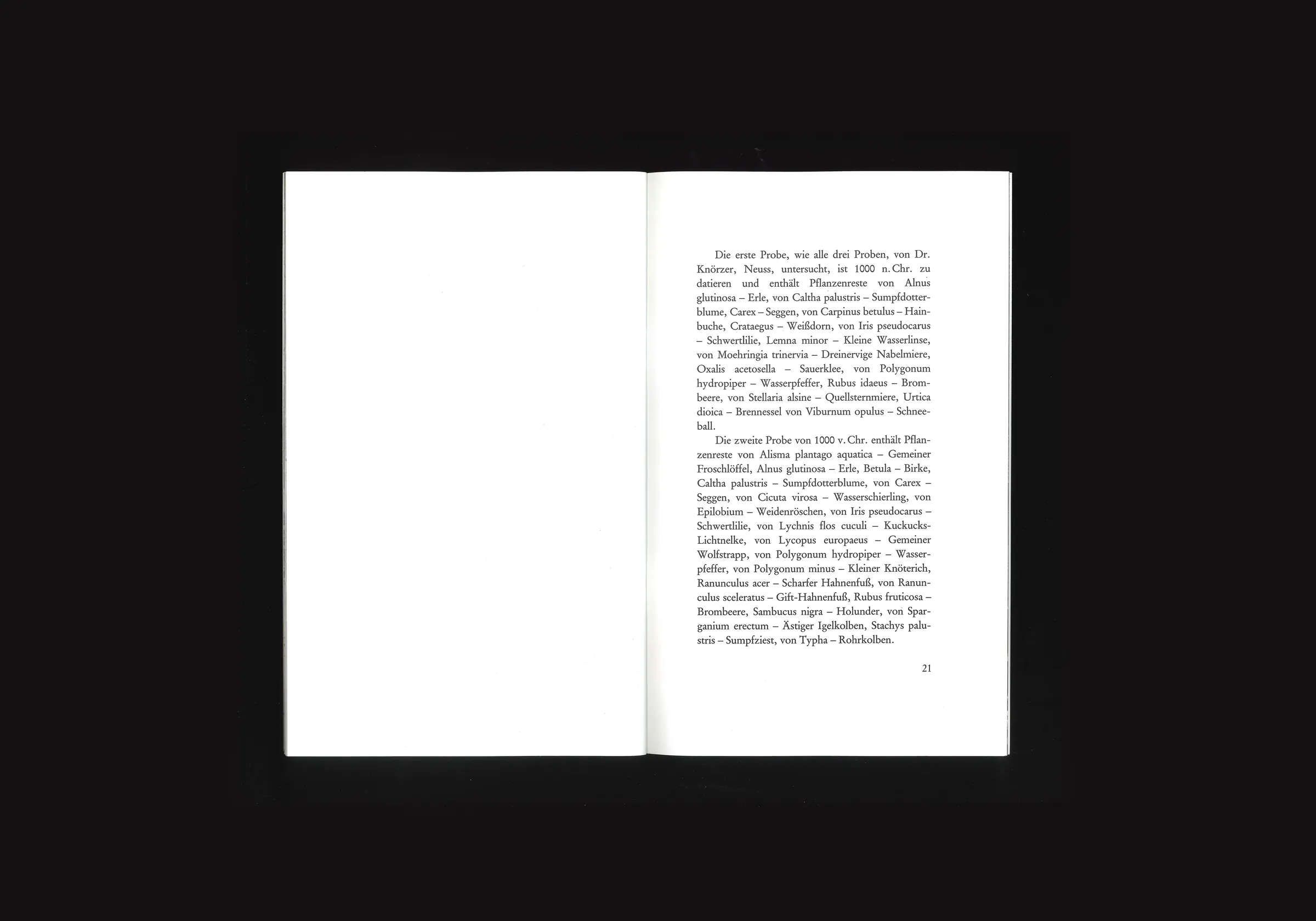 Insel Hombroich, image 4